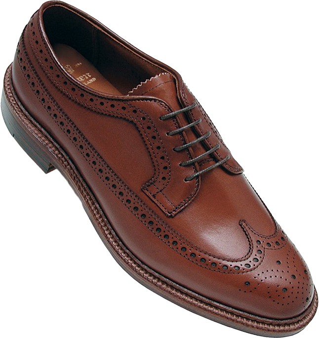 Alden 979 Long Wing Blucher