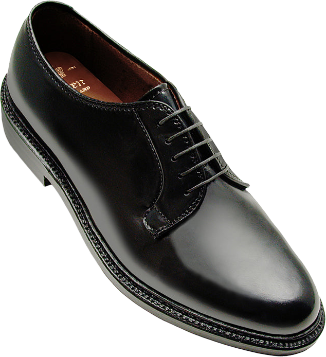 Alden 9901 Plain Toe Blucher