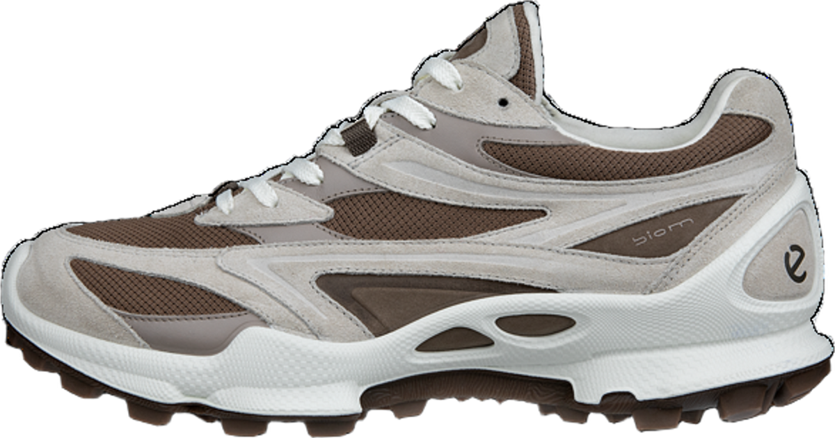 Ecco Biom C-Trail