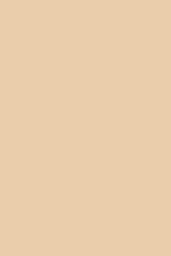 Champagne - Round Waxed Shoelaces | Senkels