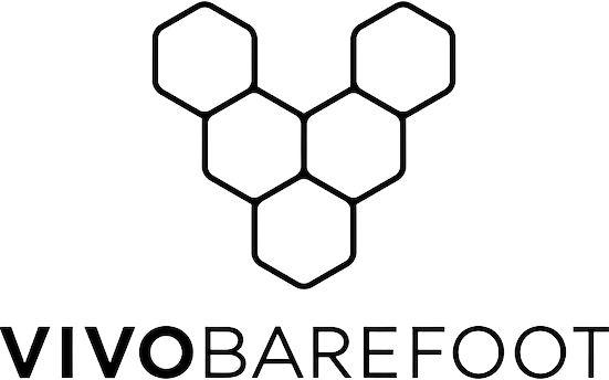 Vivo Logo