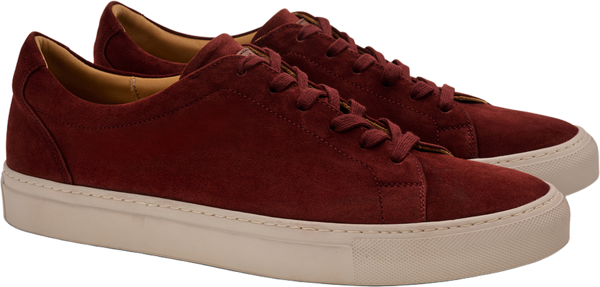 Ludwig Reiter Tennis